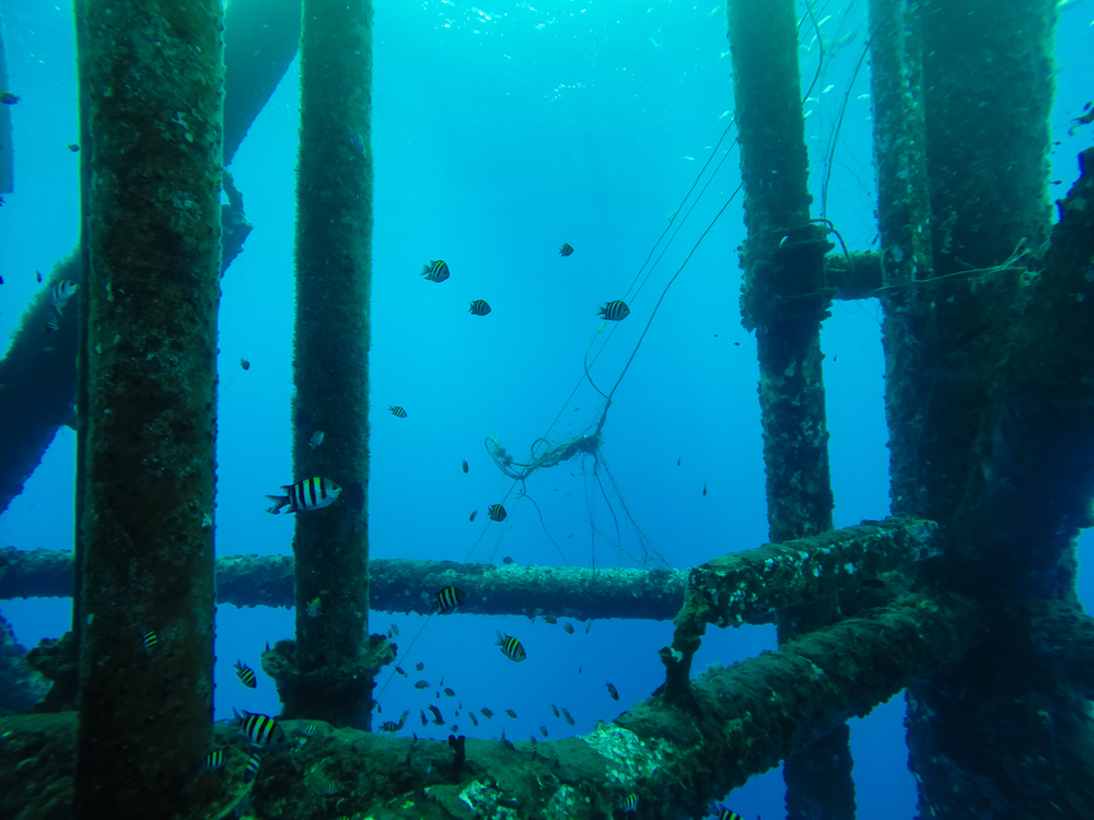 Uncharted-waters-DI-Bottom-image-1.jpg Uncharted-waters-DI-Bottom-image-1.jpg